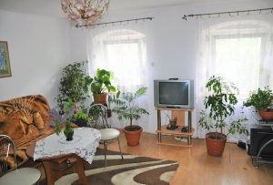 , Okolice Dzier�oniowa