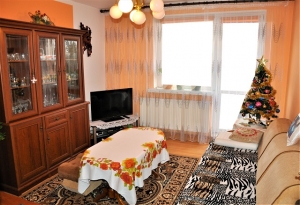 , Okolice Dzier�oniowa