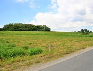 , Kamieniec Z�bkowicki