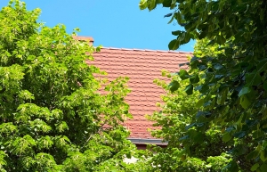, Dzierżoniów